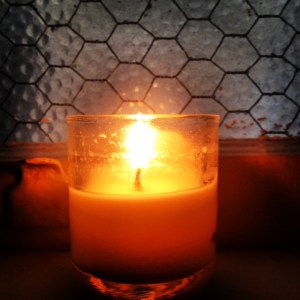 Terri Wingham - photo-19