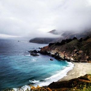 Terri Wingham - photo-72