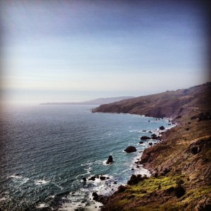 Terri Wingham - photo-74