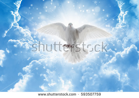 stock-photo-holy-spirit-bird-flies-in-skies-bright-light-shines-from-heaven-white-dove-symbol-of-love-and-593507759